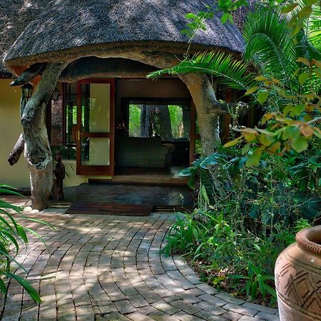 Royal Tree Lodge Maun Exteriér fotografie