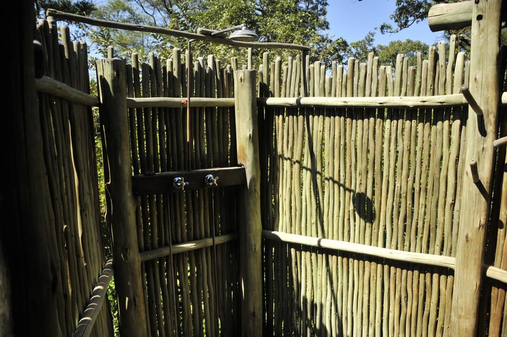Royal Tree Lodge Maun Pokoj fotografie