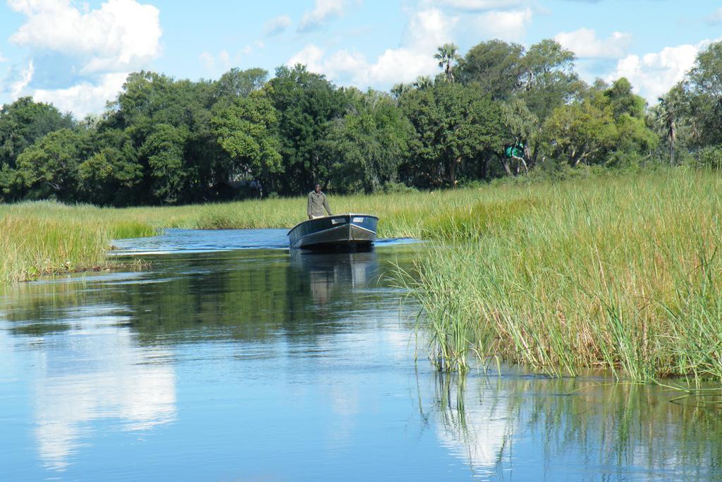Royal Tree Lodge Maun Exteriér fotografie