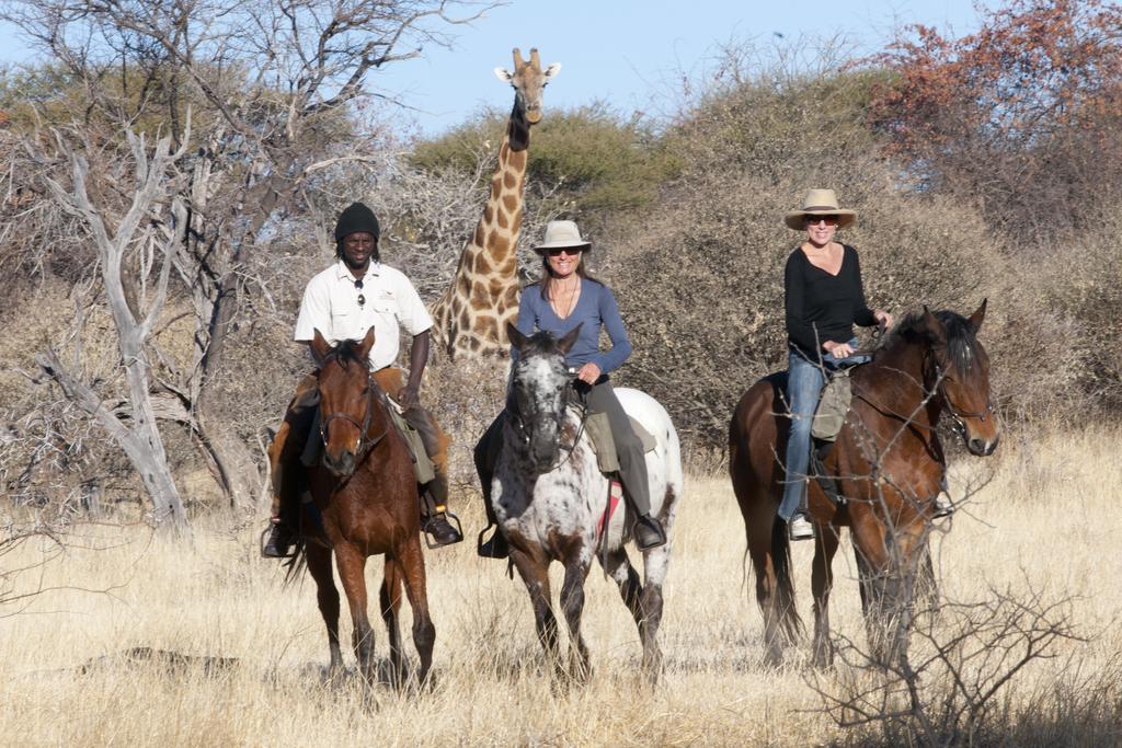 Royal Tree Lodge Maun Exteriér fotografie