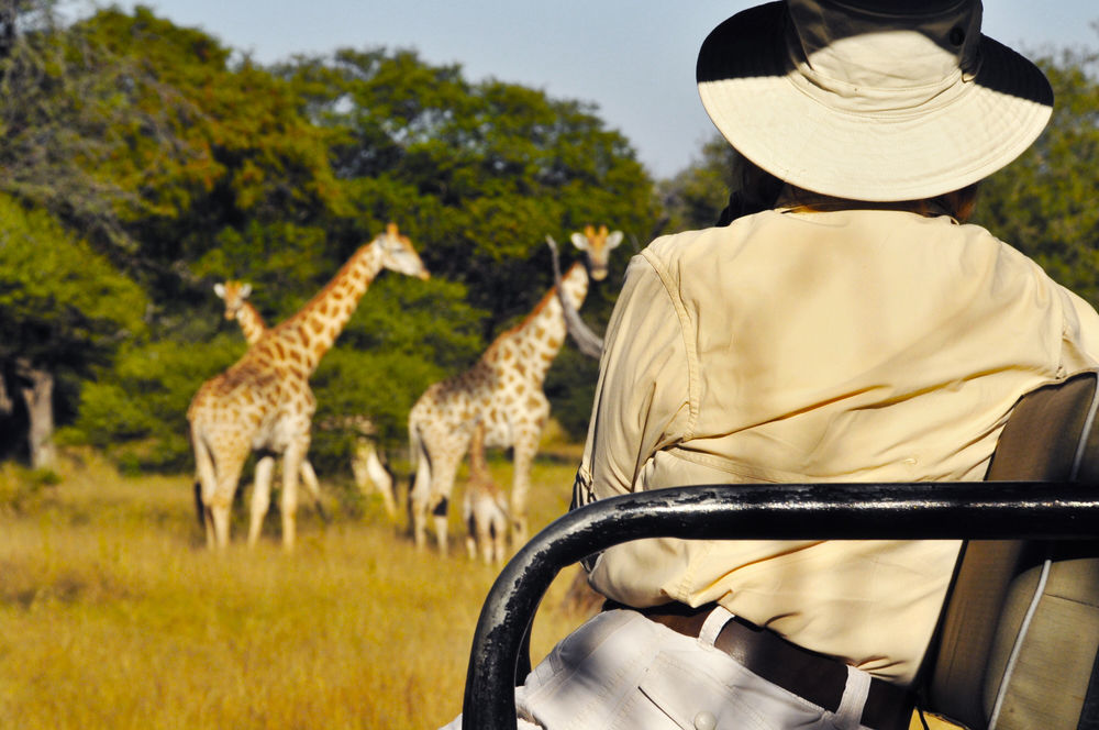 Royal Tree Lodge Maun Exteriér fotografie